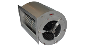 FUN88��������(�й���)�ٷ���վ